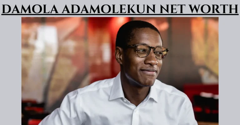 damola adamolekun net worth