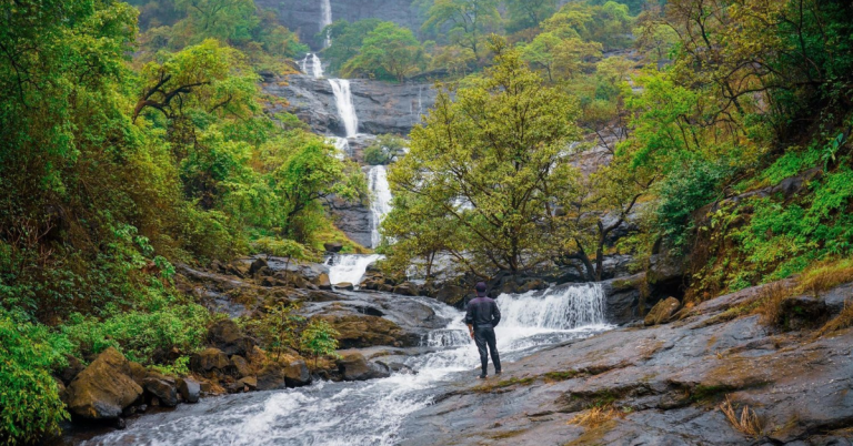 Exploring Ruderne: A Hidden Gem of Denmark's History and Nature