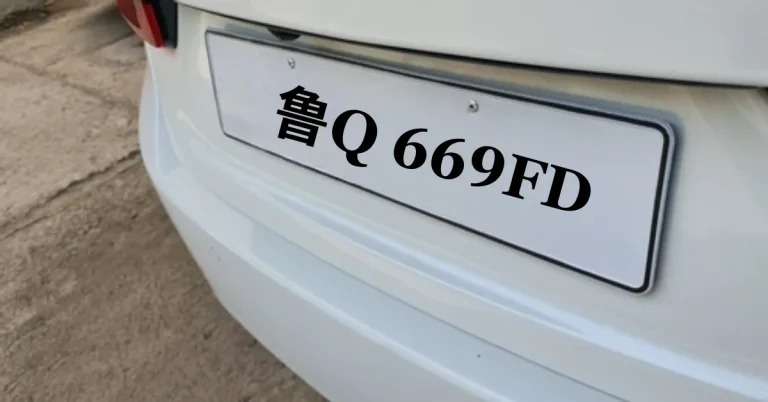 鲁Q 669FD: Region, Classification, and Verification