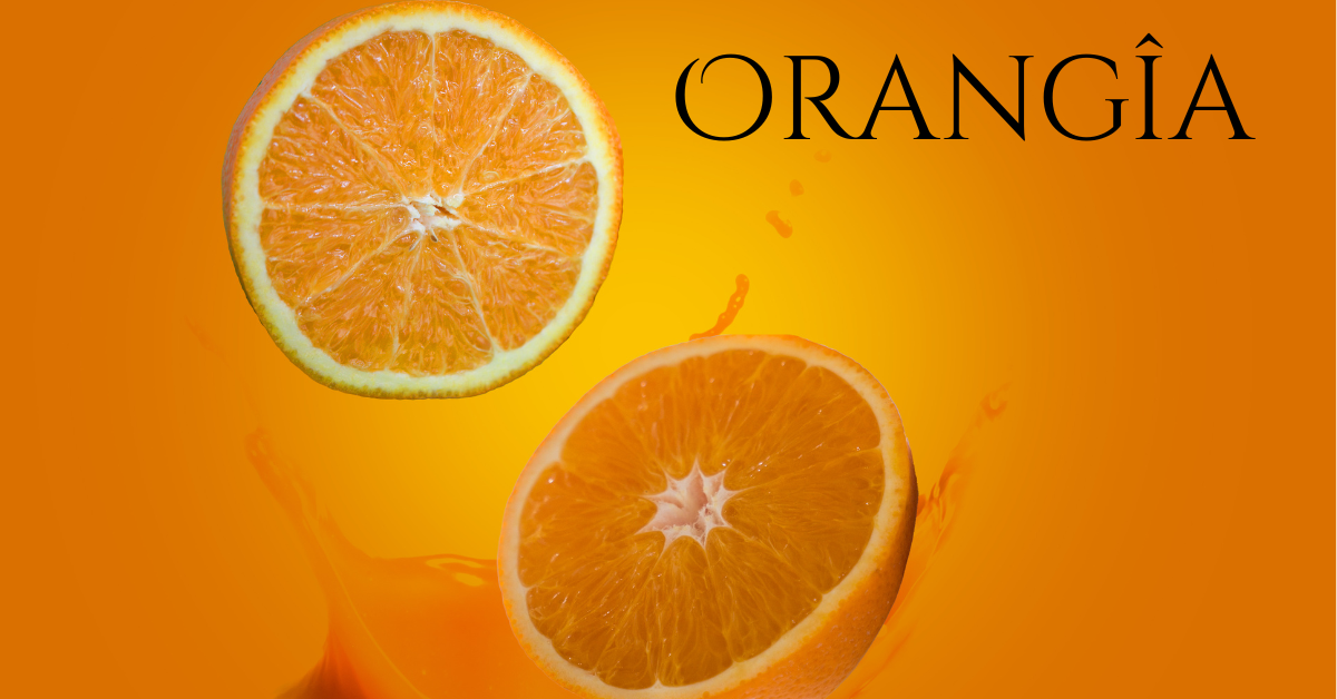 Why Orangîa Is Redefining Luxury Living and Environmental Awareness
