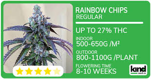 Exploring the Rich World of Jamaican Weed Strains 3 Exploring the Rich World of Jamaican Weed Strains 3