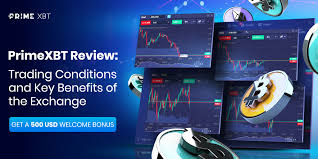 Understanding PrimeXBT A Comprehensive Guide to the Online Trading Platform Understanding PrimeXBT A Comprehensive Guide to the Online Trading Platform