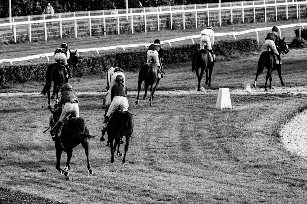 Horse Racing Betting Guide