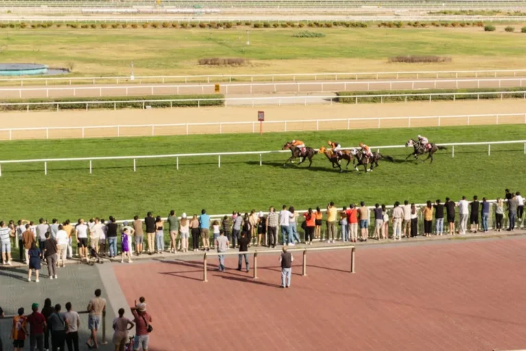 How to Track Betting Results