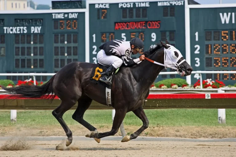 Sports Betting Odds Explained