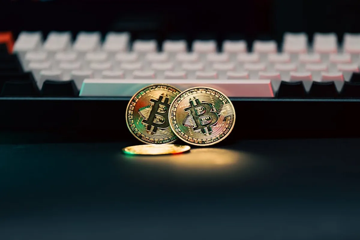 What betting, crypto, and casino audiences Can Learn From techlokesh.org